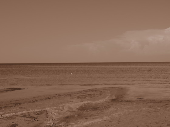 odino4estvo (1) (560x420, 50Kb)