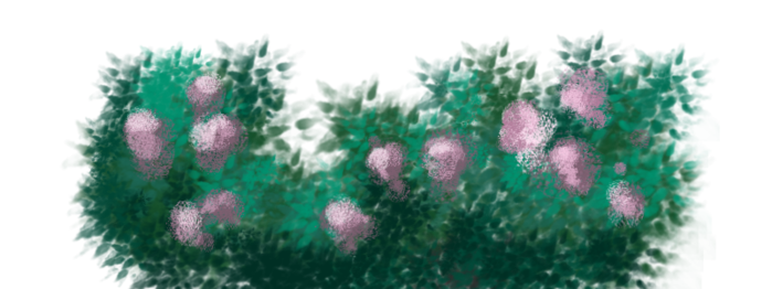 4150718_kyst_siren (700x262, 232Kb)