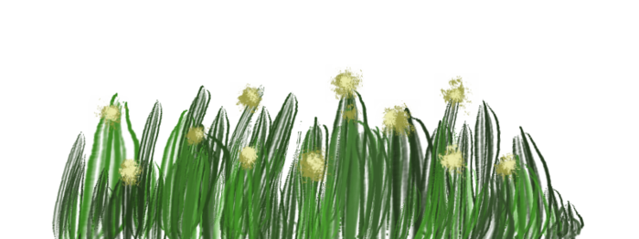 4150718_trava_visok (700x262, 151Kb)