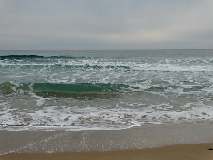 5559494_DSC01888 (700x525, 223Kb)
