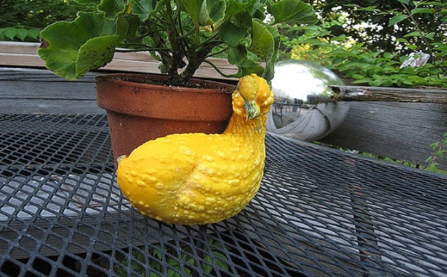 image012 (650x403, 143Kb)