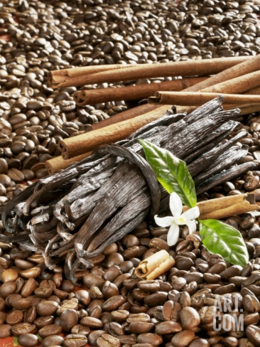 karl-newedel-coffee-beans-vanilla-pods-and-cinnamon-sticks_i-G-26-2634-6CCMD00Z (366x488, 200Kb)