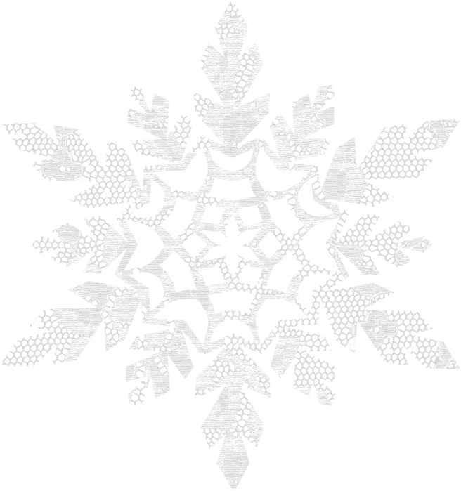 !_winterweddingelements_snowflake1 (656x700, 516Kb)