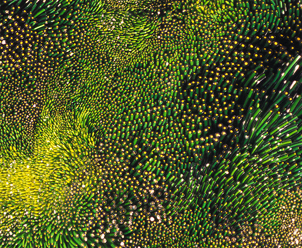 3623822_currentdetail (600x493, 357Kb)