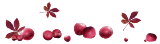 0_7404b_e6e4b4d8_XL (160x44, 6Kb)
