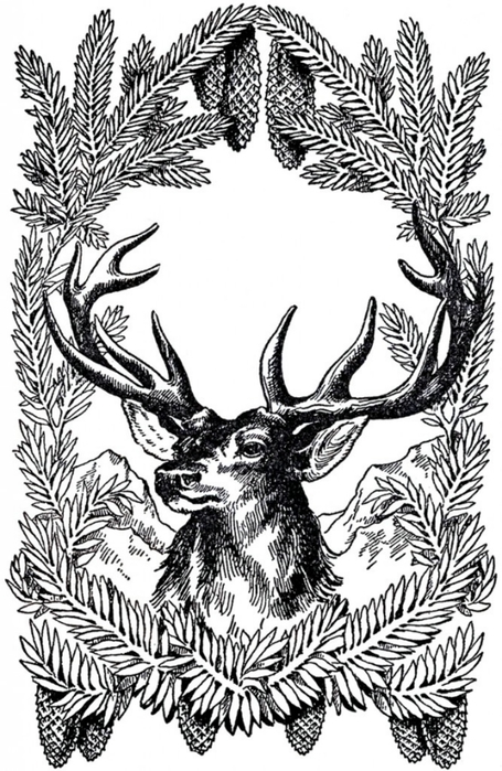 Vintage-Christmas-Deer-Image-GraphicsFairy-667x1024 (455x700, 243Kb)