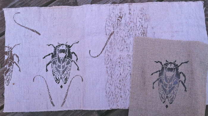 cicada-multiple fabrics (700x392, 283Kb)