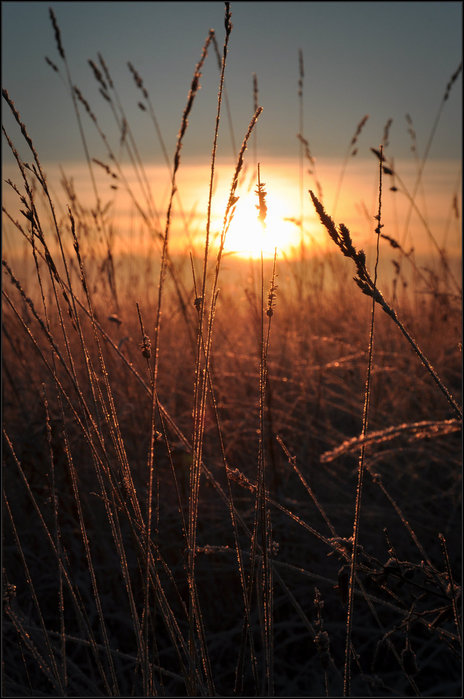 DSC_0034 (464x700, 82Kb)