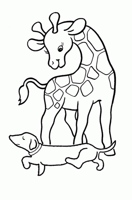 5687032_Animals_coloring_pages_for_babies_50 (463x700, 44Kb)