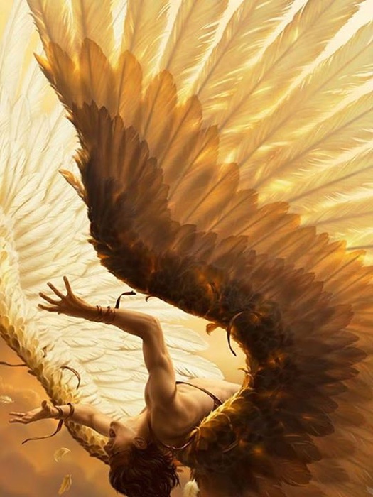 image (525x700, 119Kb)