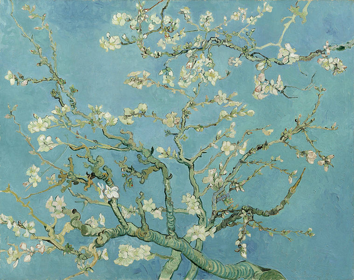 759px-Vincent_van_Gogh_-_Almond_blossom_-_Google_Art_Project (700x553, 566Kb)