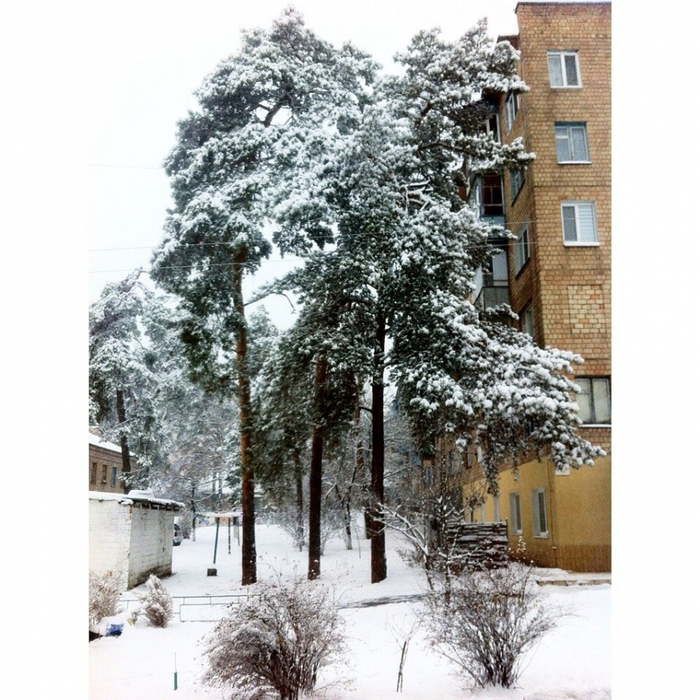 5737543_qTShAGD5RhA (700x700, 366Kb)