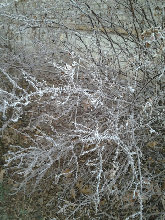 2138482__2_ (525x700, 361Kb)