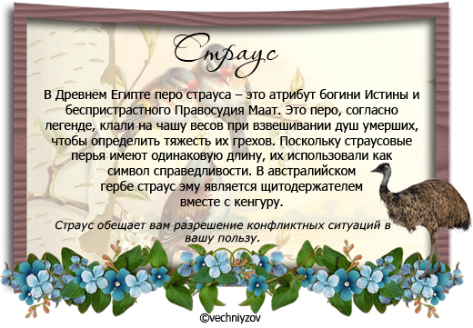 Павлин юмор. Птицы приносят весну на своих крыльях.