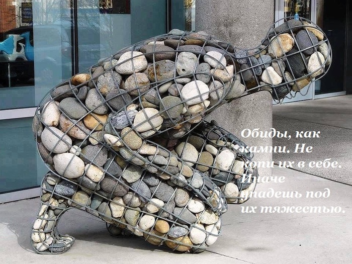 3571750_image_3 (700x525, 184Kb)