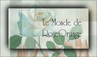 rose orange banner (376x223, 20Kb)