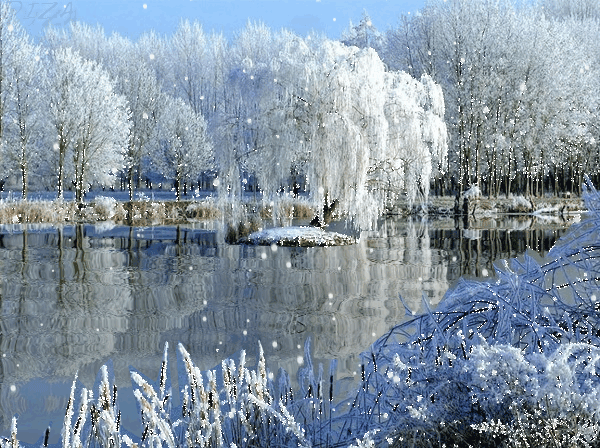 4617818_0_5f9df_e0efd641_XL (600x448, 965Kb)