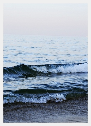 _DSC0533 (297x410, 104Kb)