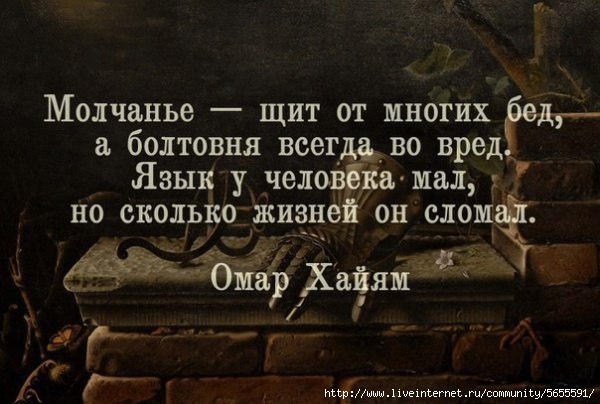 1415849956_fAKjJzuuVJ4 (600x404, 131Kb)