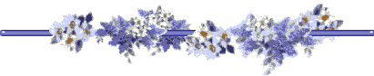 58130591_1271973562_bd5954e09106738d7723c1f730a37cdb1 (411x84, 4Kb)
