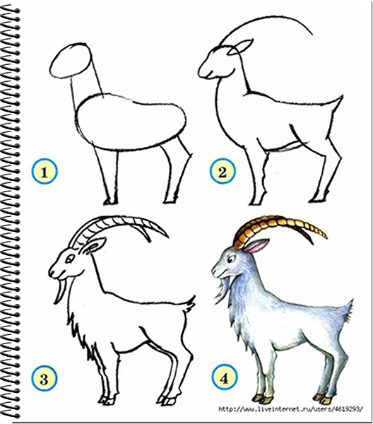 Рисуем надменную козу | Карапузик