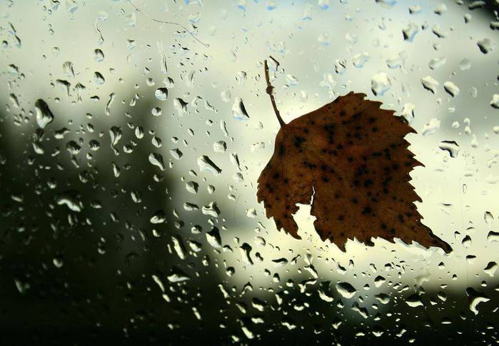 Следы дождя текст. Плачет дождь картинки со смыслом. Осень плачет дождем картинки-1 слово. Я слушал дождь. Картинки я слушал дождь.