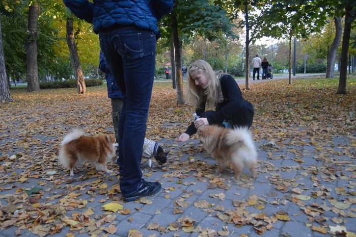 1417472638_DSC_1413f (699x465, 255Kb)