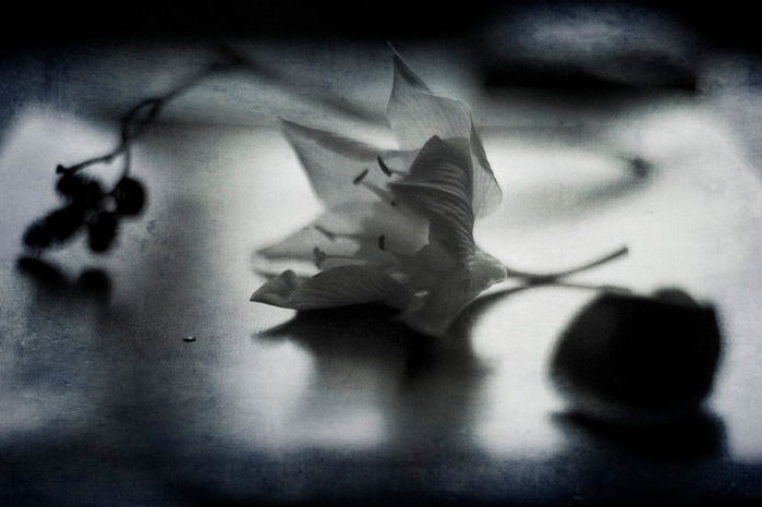 1871110 (700x465, 237Kb)