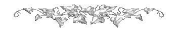3906024_84856622_797f9e24a68b (350x60, 4Kb)