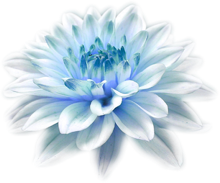 1441697-b124775e5e285493 (432x358, 261Kb)