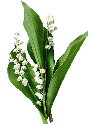 divers-muguet21-img (283x401, 34Kb)