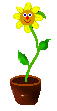 fleurs-marguerittes-3 (57x111, 4Kb)