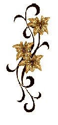 image011 (117x252, 5Kb)