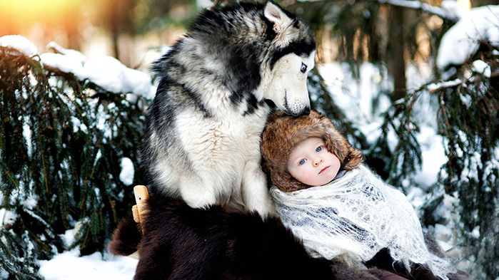 1415597091_025-ellf.ru (700x393, 359Kb)
