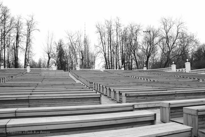 DSC_8223bw копия (700x466, 212Kb)