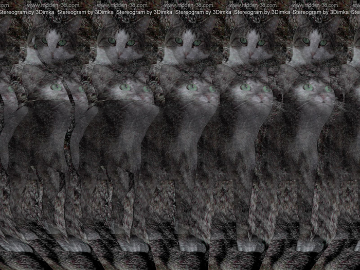 3Dimka_cat_stereogram_800 (700x525, 392Kb)