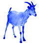 goat-1 (79x90, 2Kb)