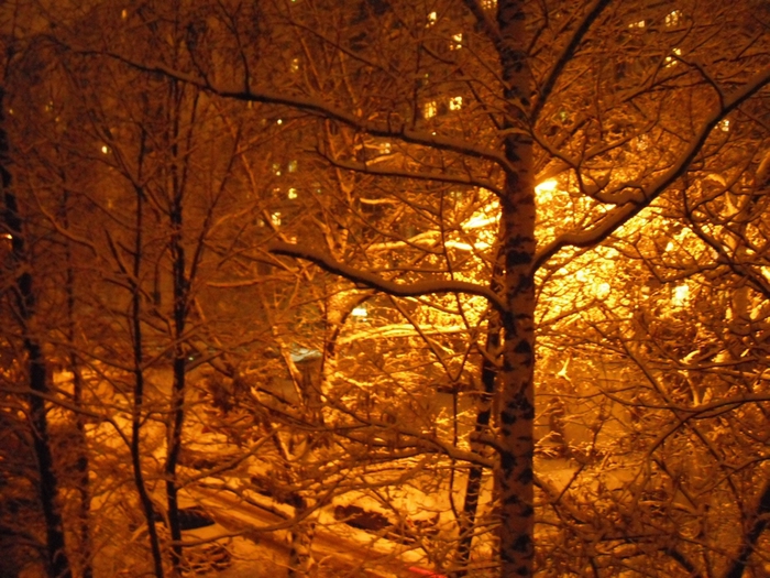 , 11 12 14 , 01-00 (700x525, 347Kb)