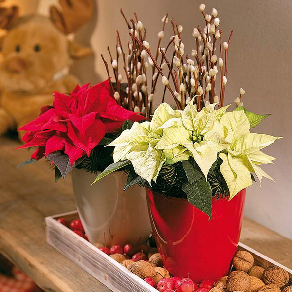 home-flowers-in-new-year-decorating1-11 (600x600, 347Kb)