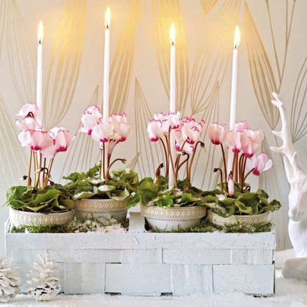 home-flowers-in-new-year-decorating2-1 (600x600, 265Kb)