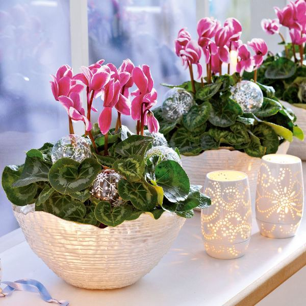 home-flowers-in-new-year-decorating2-3 (600x600, 335Kb)