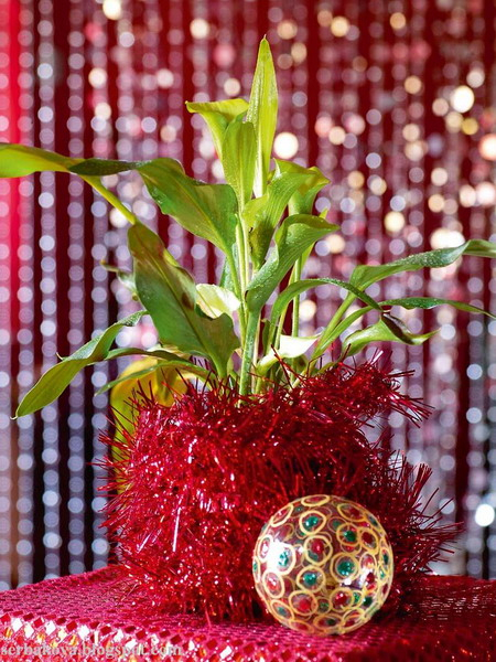 home-flowers-in-new-year-decorating4-1 (450x600, 381Kb)