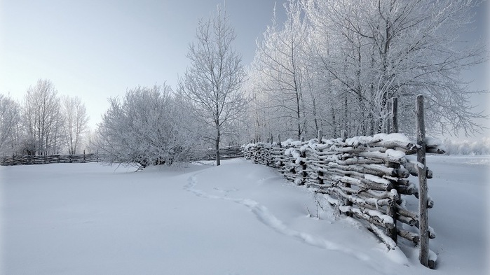 4617818_0_11cfe0_b18824c7_XL (700x393, 88Kb)