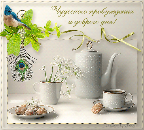5680772_15703535 (500x450, 180Kb)