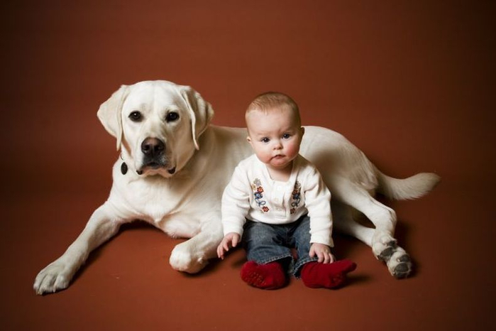 1232653510_pets_kids_10 (700x466, 177Kb)