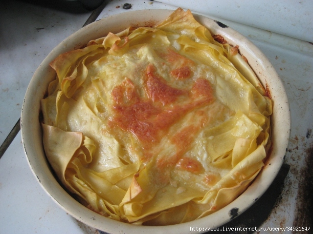 IMG_0073 (640x480, 213Kb)