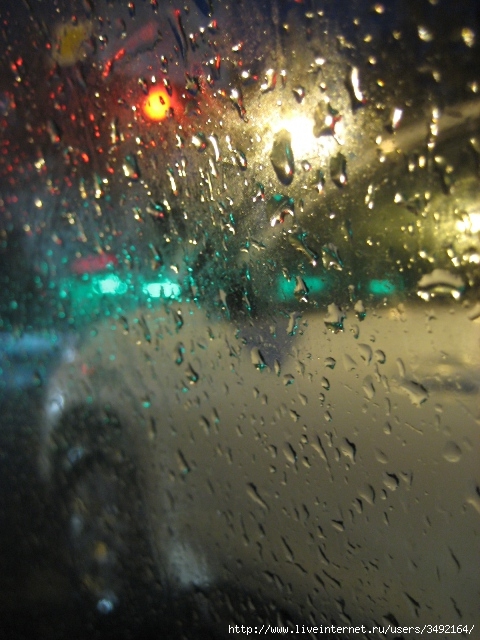 IMG_5506 (480x640, 228Kb)