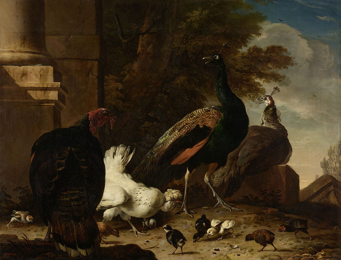Een_hen_met_pauwen_en_een_kalkoen_Rijksmuseum_SK-C-146.jpeg (700x533, 75Kb)