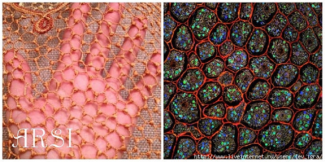 163671-369a8-83470388-m750x740-ucc87e (640x320, 229Kb)