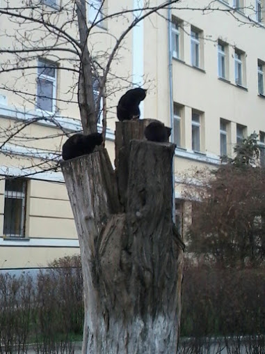 16.12.14 - 1 (6) (381x508, 60Kb)
